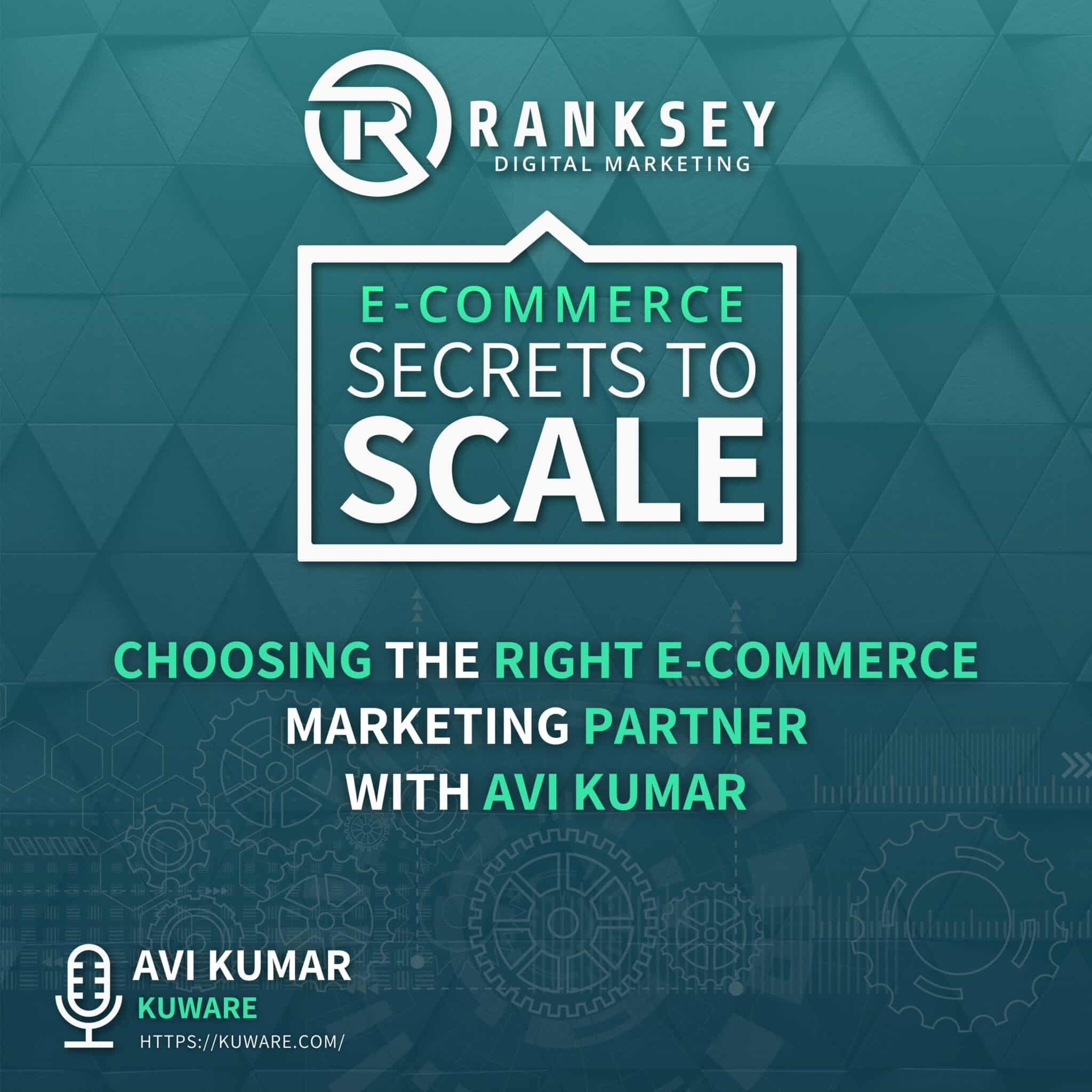 102 Choosing The Right E Commerce Marketing Partner With Avi Kumar scaled